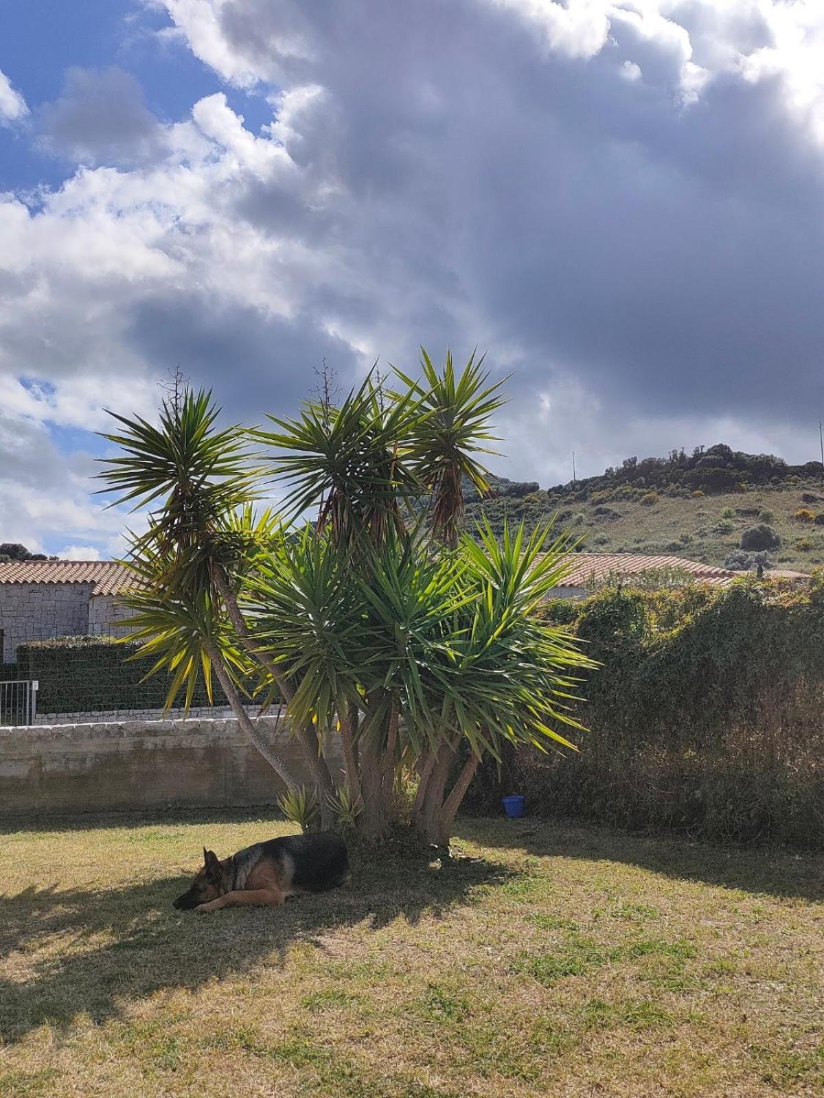 Villa Cala Sinzias Castiadas Bagian luar foto